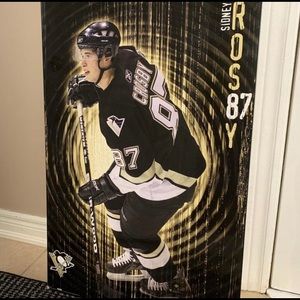❗️ Rare 2005 Sidney Crosby Rookie Year Big Picture